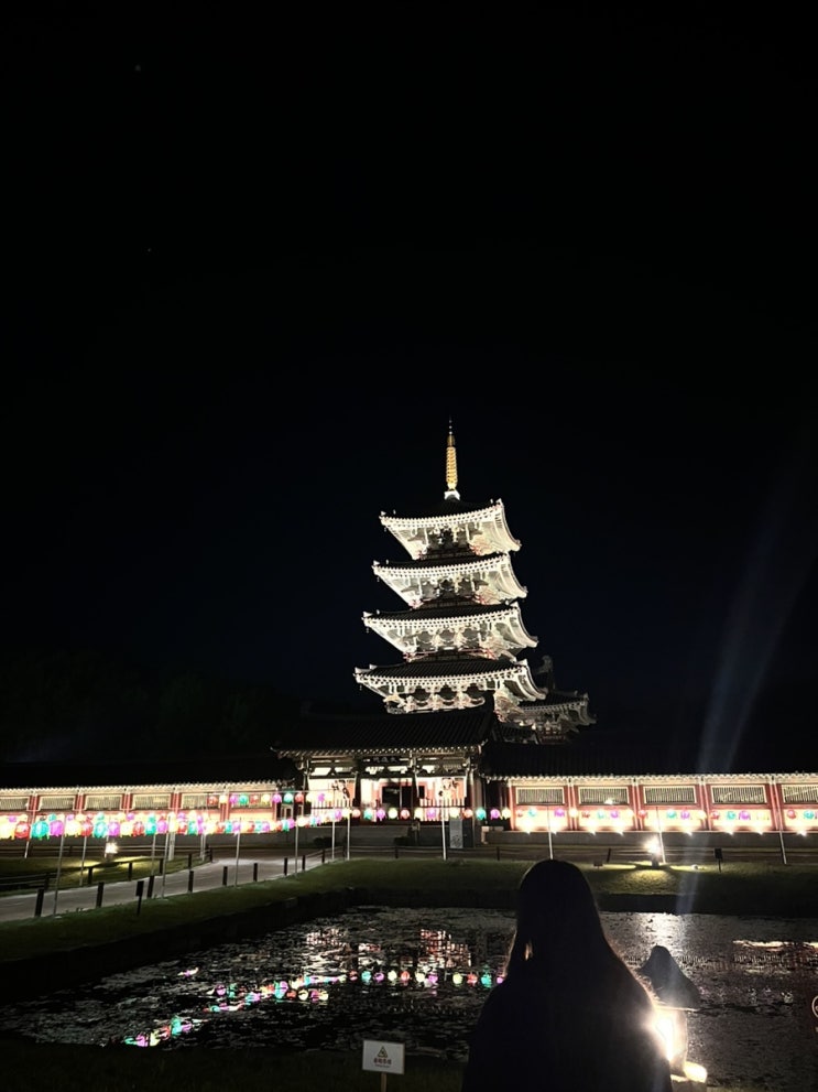  일상 일기_꽃구경, 초안산 캠핑장, 친구 결혼식, 군산, 부여, 전주 여행 후기