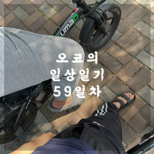  오코의 100일 작업일기 DAY 59일 근로자의날은 쉰다