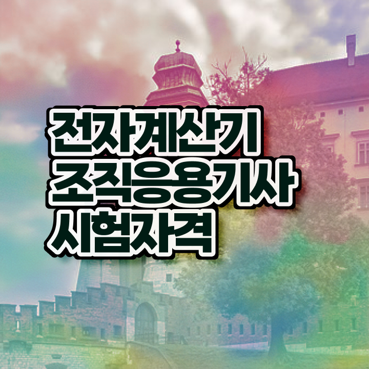  전자계산기조직응용기사 취득자격 인강으로 5개월 만에 끝낸 전략