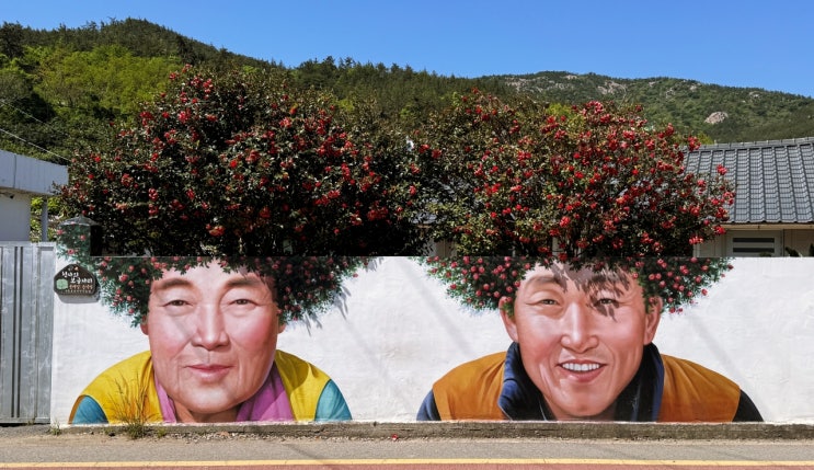  [신안] 유명한 핫플 포토존 '동백 파마머리 벽화'