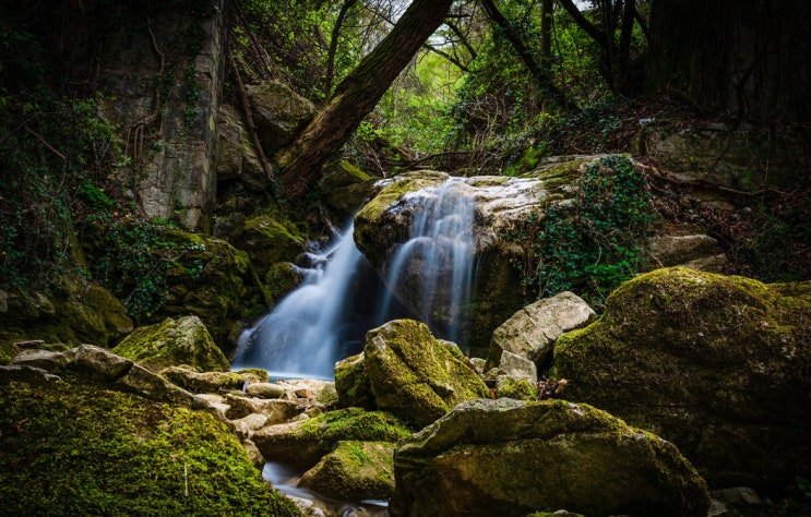  경자일주 남자 여자 직업 특성