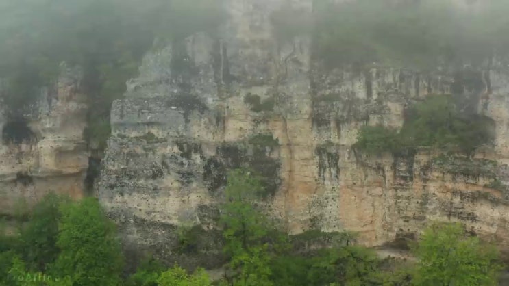  임산가공산업기사 공부법 임산가공산업기사 자격요건 독학으로 5달만에 끝냈던 방법