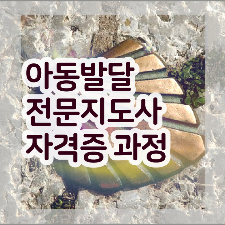  아동발달전문지도사 독학 , 아동발달전문지도사 자격증 상세한 시험준비 확인하고 가세요
