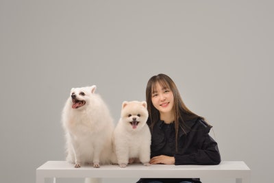 사진 8