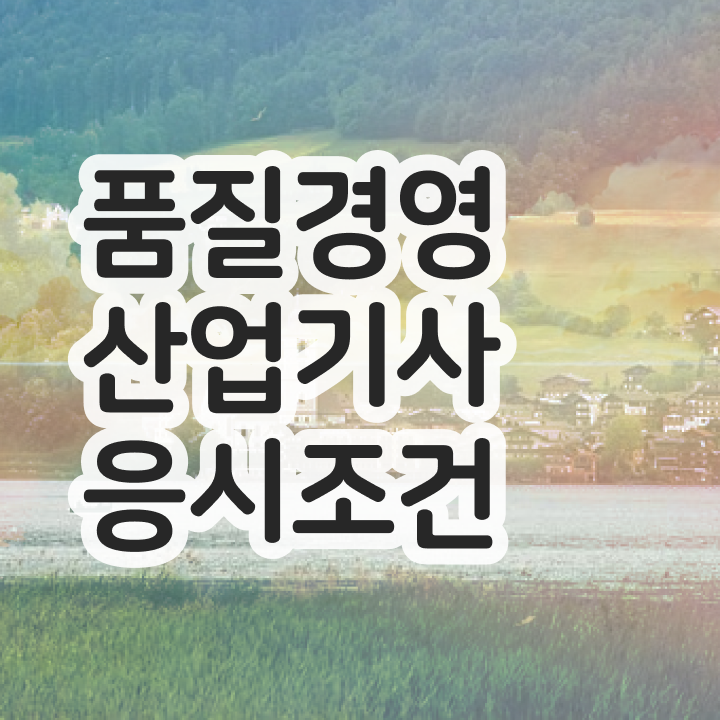  품질경영산업기사 독학 품질경영산업기사 취득자격 인강으로 5개월 만에 성공한 노하우