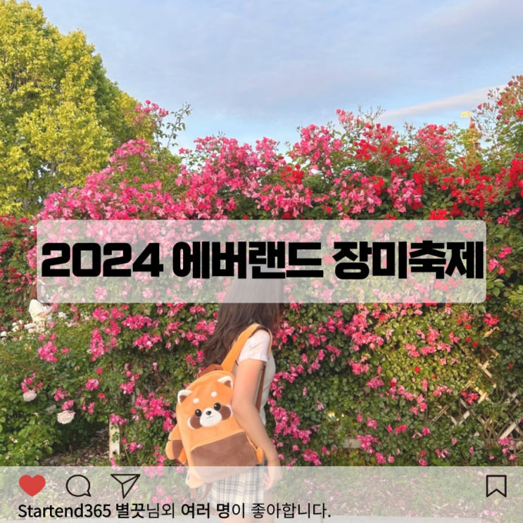  2024 에버랜드 장미축제 기간 포토존 할인