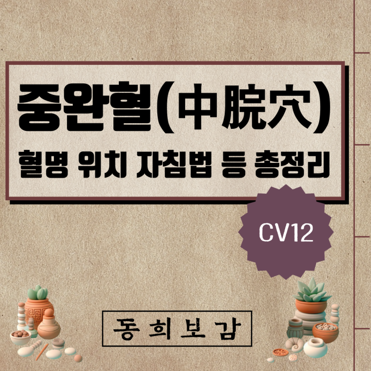  중완혈(中脘穴) CV12, 소속경맥 혈명 위치 특성 자침법 등 총정리