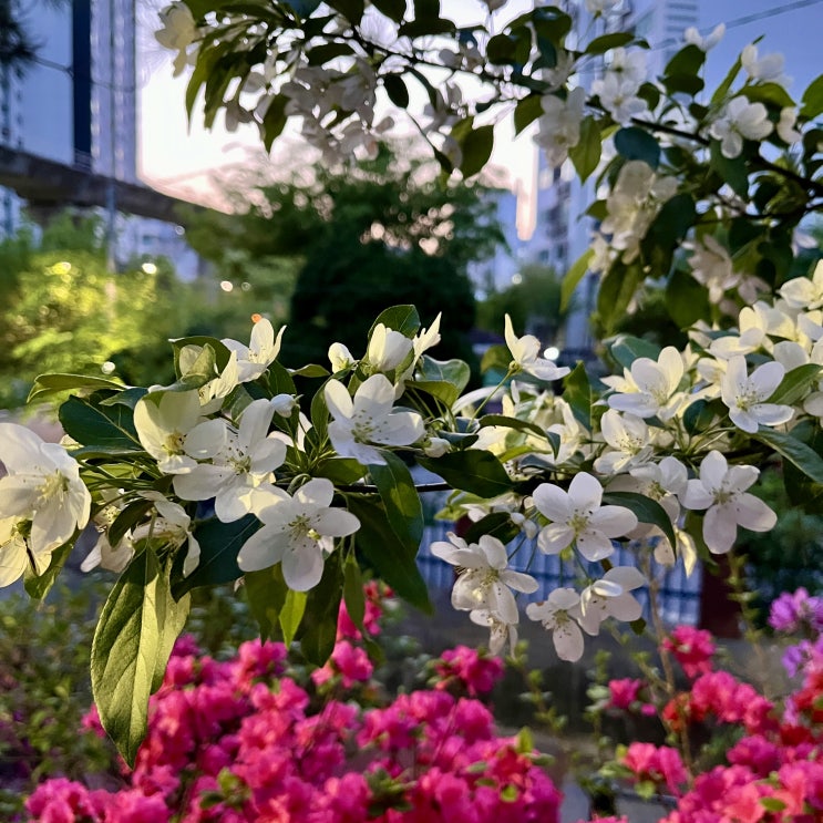  快樂法則?