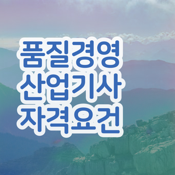  품질경영산업기사 실기 품질경영산업기사 자격요건 온라인으로 15주 동안 끝냈던 팁