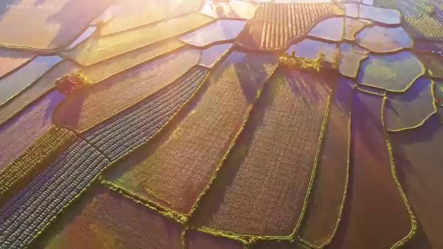  3D프린터개발산업기사 응시조건 온라인 수업으로 5개월 만에 끝낸 비법