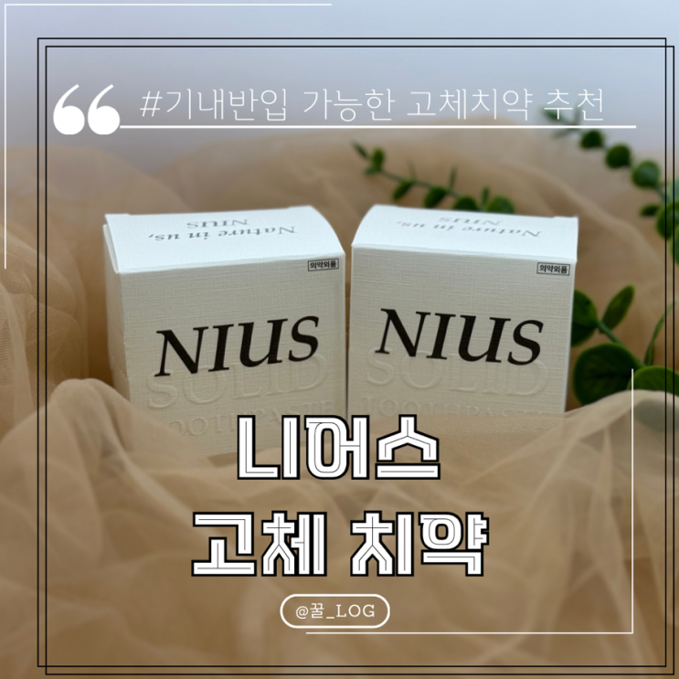  해외여행 준비물 기내 반입 가능한 니어스 고체 치약