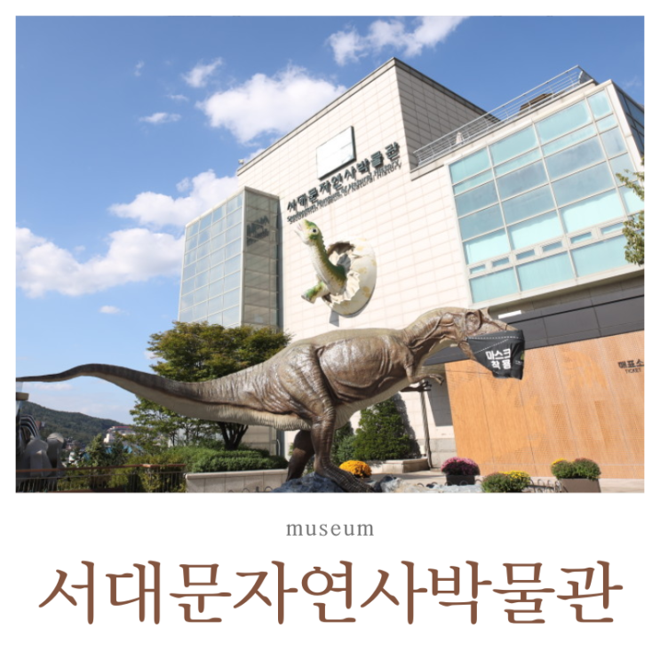  서대문자연사박물관 어린이날 공룡 고래 좋아하는 아이와 가볼 만한 곳