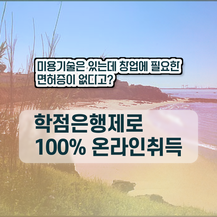  미용 자격증 종류 , 미용종합면허증 최단기간에 취득하고 취업한 전략 궁금하다면