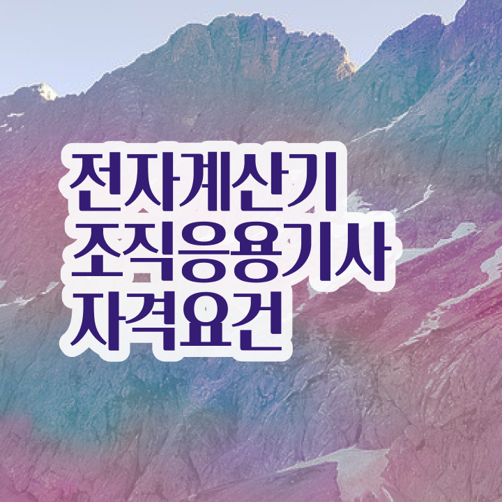  전자계산기조직응용기사 독학 전자계산기조직응용기사 응시조건 인강만 듣고 단기간에 갖춘 후기
