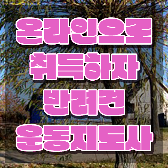  반려견운동지도사 무료수강 , 반려견운동지도사자격증 취득 정보 및 무료 교육기관