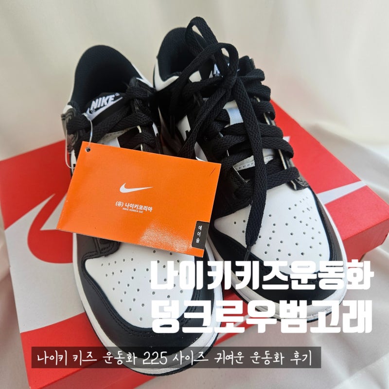 나이키운동화 : 나이키 덩크 로우 범고래 키즈 주니어 225 사이즈 가격 정품인증