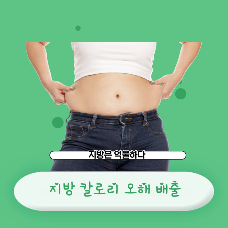 충격) 지방 많이 먹어도 살 안 찐다. 지방의 진실 역할 칼로리