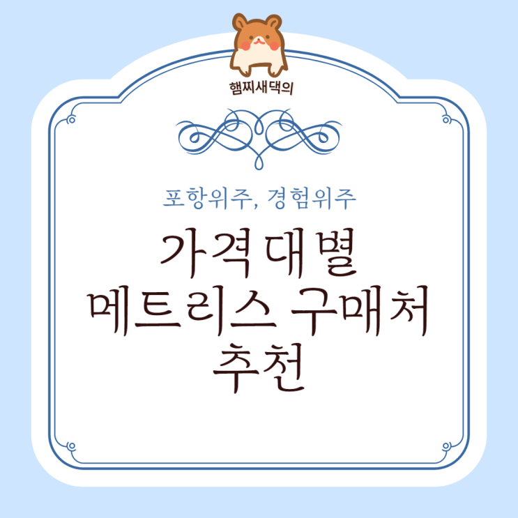  포항 침대 매트리스 가격대별 구매처 추천 / 가성비 침대 학생 침대 혼수 침대