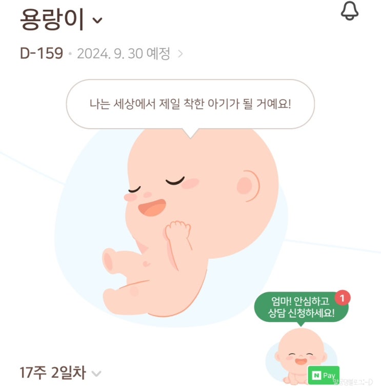 임신 17주차 | 기형아검사 통과, 도쿄 태교여행, 하이베베, 배가 작아진 느낌