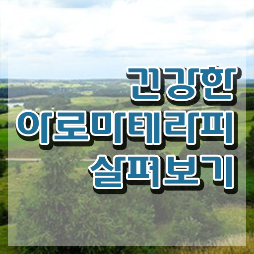  아로마뷰티diy지도사 무료 인강 , 아로마뷰티DIY지도사 자격증 응시자격 없이 취득한 과정 , 일자리
