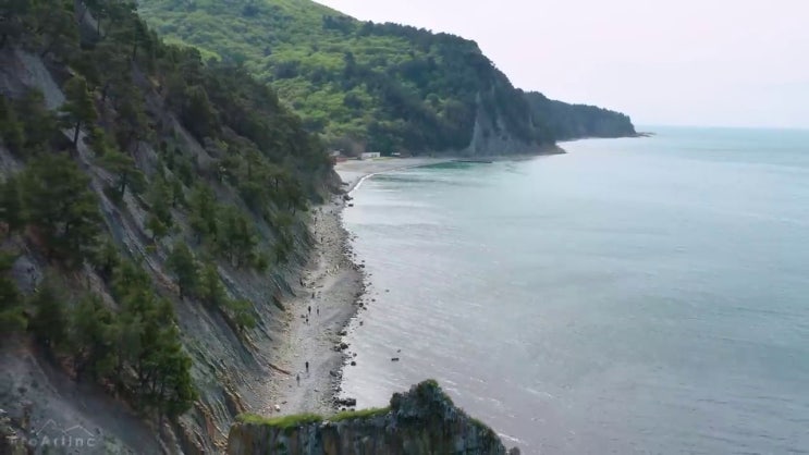  조경산업기사 전망 조경산업기사 응시자격 독학으로 15주 동안 끝낸 방법