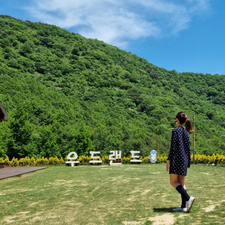  월아산 숲속의진주 산림레포츠 진주 월아산 우드랜드 아이와 가볼만한곳