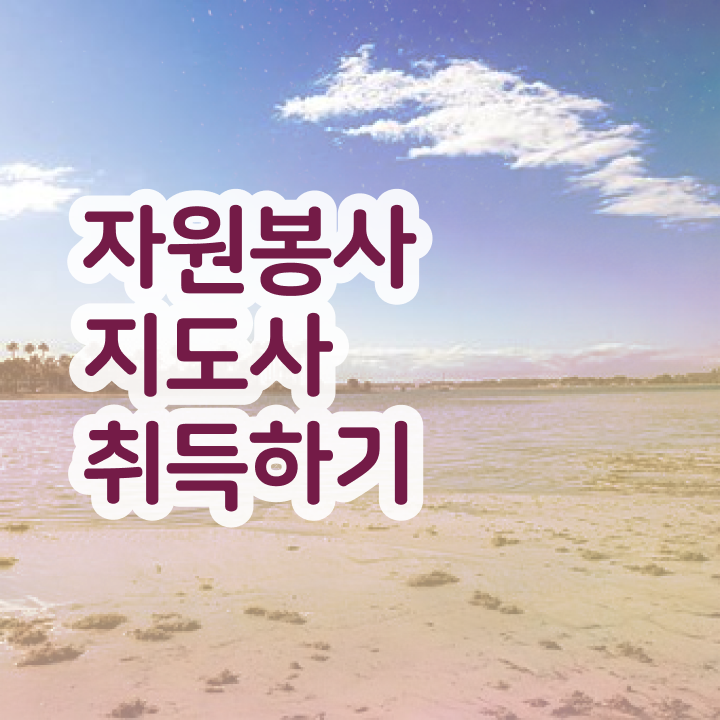  안내견 자원봉사 , 자원봉사지도사 자격증 직장인도 쉽게 합격정보 핵심 정보