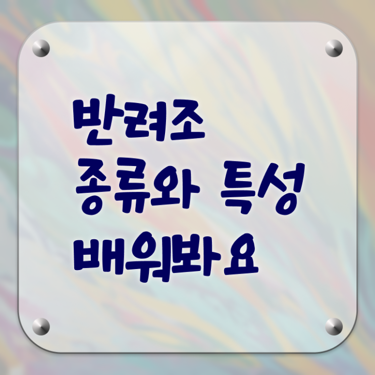  모란앵무분양 , 반려조관리사 자격증 비용없이 온라인으로 합격한 후기 , 무료수강 혜택