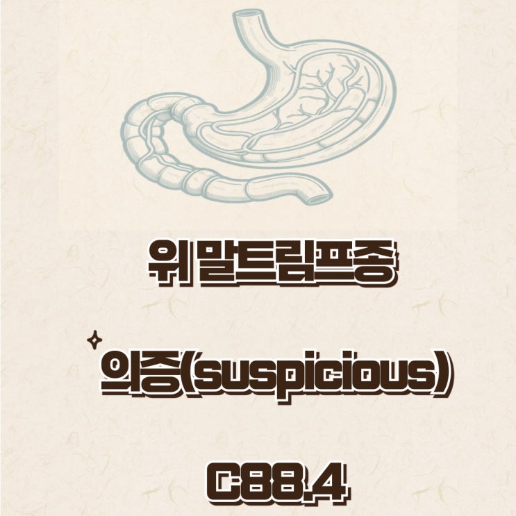  위말트림프종 C88.4 Suspicious 의증, 진단서 암진단비 거부이유?