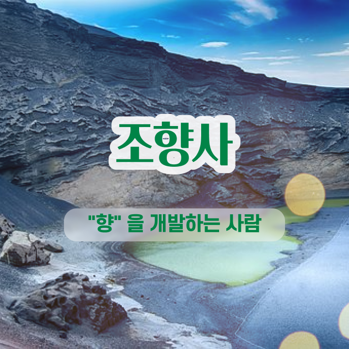  아로마테라피배우기 , 조향사자격증 2주 만에 준비 과정 준비했어요