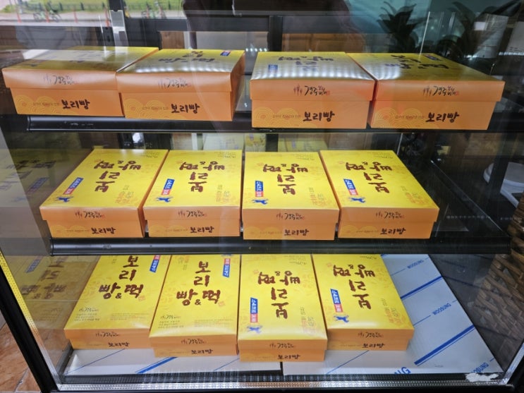  경주찰보리빵맛집 경주보리명가 국산찰보리100%