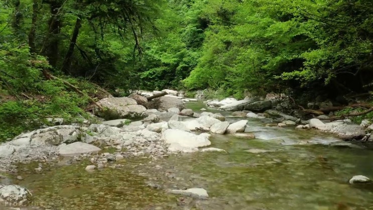  메이크업원데이클래스 , 메이크업자격증 오픈 할 때, 필요한 자격사항은? 및 전략