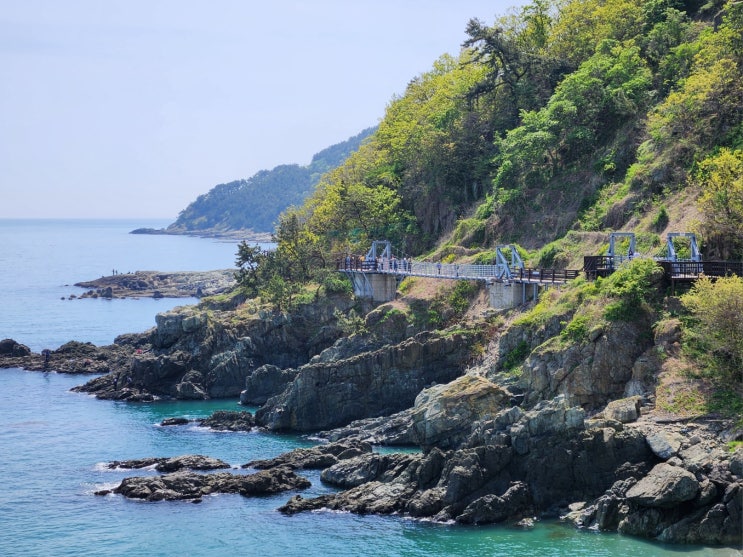 부산여행으로 가볼만한곳 이기대 해안산책로, 이기대 도시 자연공원 부산여행으로 가볼만한곳 이기대 해안산책로, 이기대 도시 자연공원