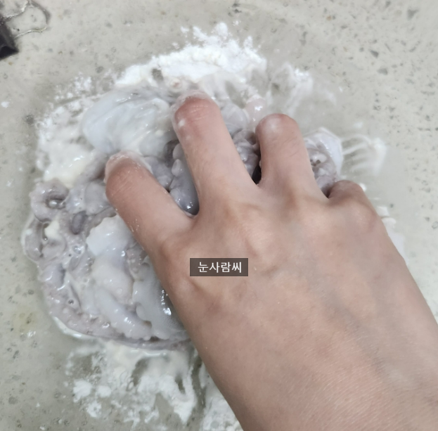 생물 낙지손질법 초보자도 가능한 산낙지 손질법 보관법