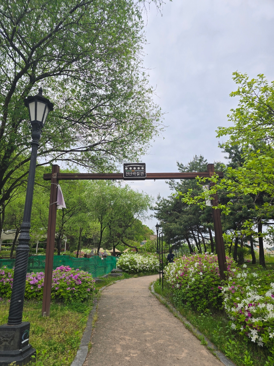 삼거리옛날민속집 사진 5