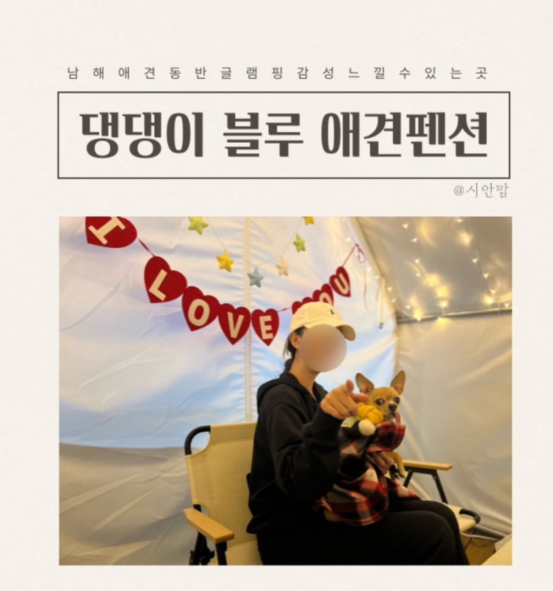 사진 4