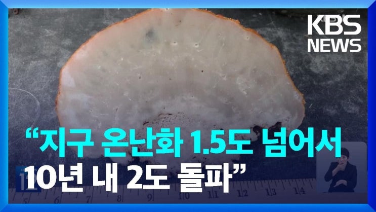 “지구 온난화 이미 1.5도 넘어서…10년 내 2도 돌파” “지구 온난화 이미 1.5도 넘어서…10년 내 2도 돌파”