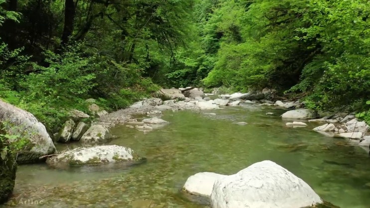  산림기사 필답 산림기사 응시조건 집에서 온라인으로 4달만에 준비한 팁
