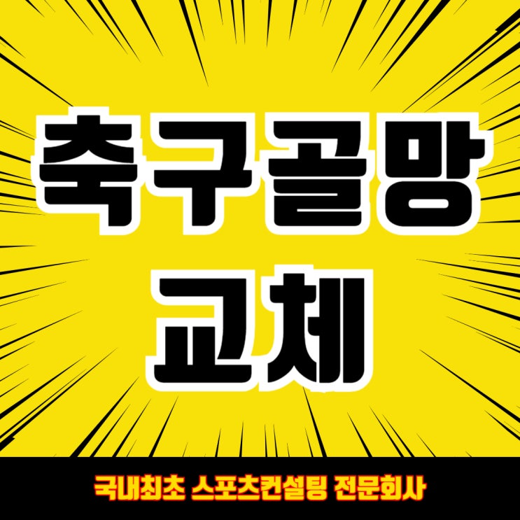  아이들을 위한 안전한 환경 조성! 세종 새롬초 축구골망교체 /축구골대  그물망 교체