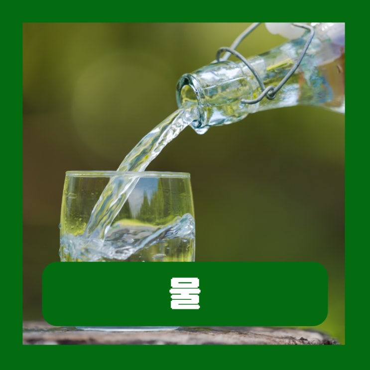  하루 물 섭취량 계산 수분의 중요성 물중독 증상