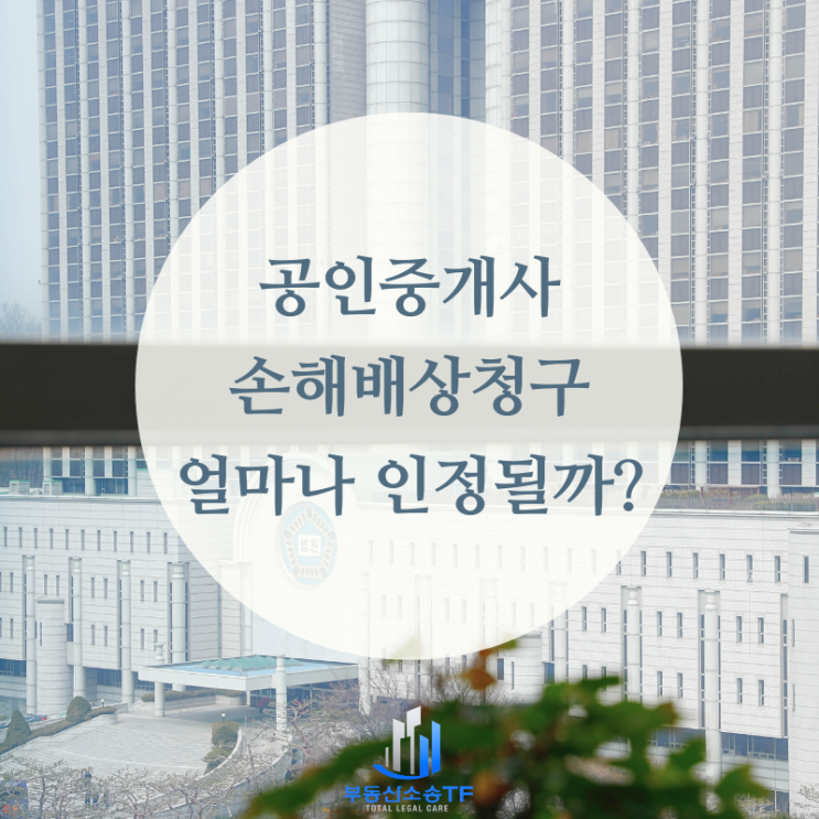  다가구 전세사기 공인중개사 손해배상 사례