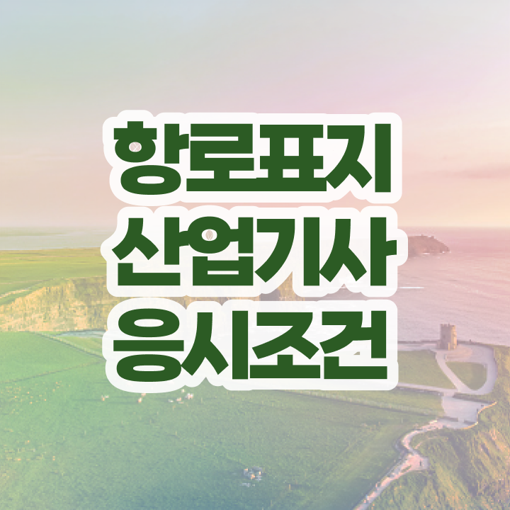  항로표지산업기사 필기시험 항로표지산업기사 자격요건 온라인 과정으로 4달 안에 성공한 과정