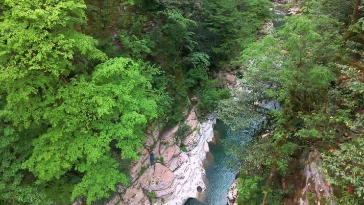  부동산 자산관리전문가 , 부동산권리분석사자격증 취득한 과정 , 채용현황