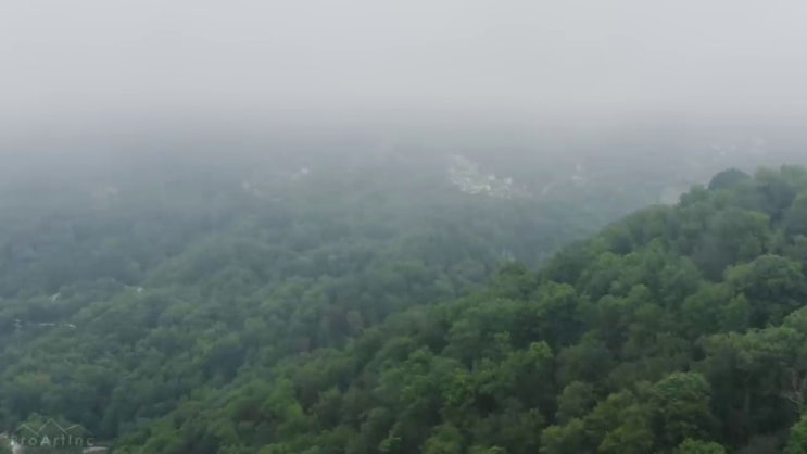  산림산업기사 학점은행제 산림산업기사 자격요건 온라인 수업으로 쉽고 빠르게 갖춘 방법