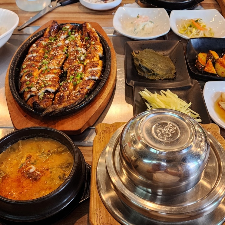  담양죽녹원맛집 죽향풍천장어 특장어정식 몸보신 후기