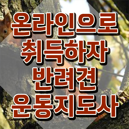  반려견운동지도사 워크샵 , 구체적인 반려견운동지도사자격증 공부한 방법