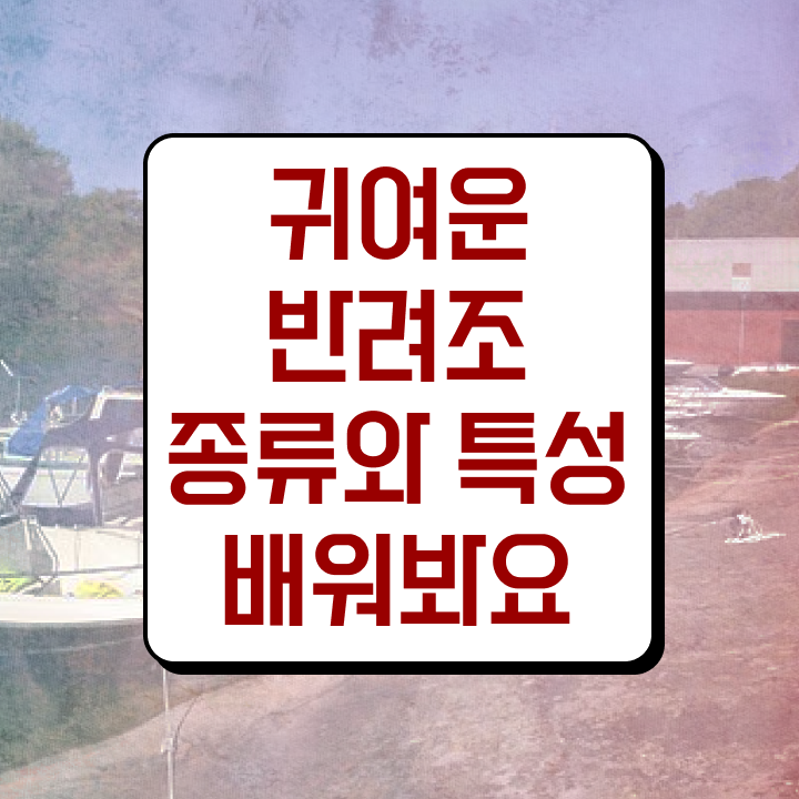  말하는 앵무새 종류 , 반려조관리사 자격증 합격 비법 정보를 알고싶다면