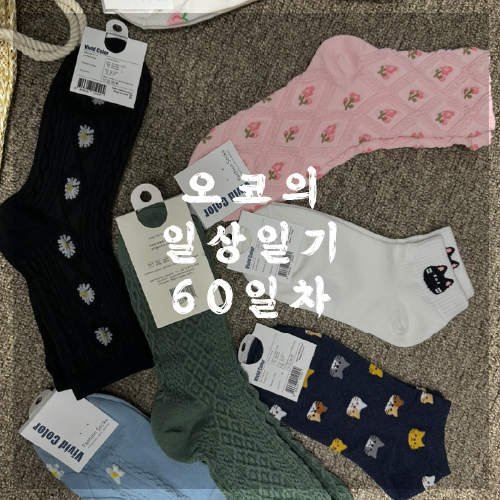  오코의 100일 일상일기 DAY 60 여행가기 하루전