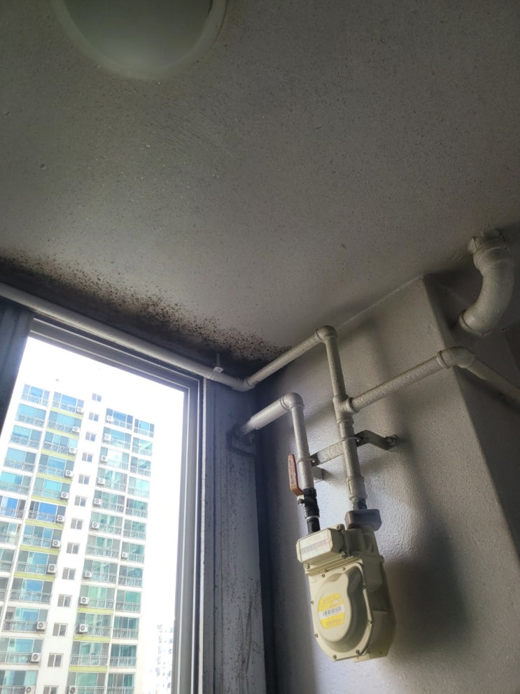  ( 오산 탄성코트 ) 오산 신동아 2차 아파트 베란다 곰팡이 탄성코트 시공후기