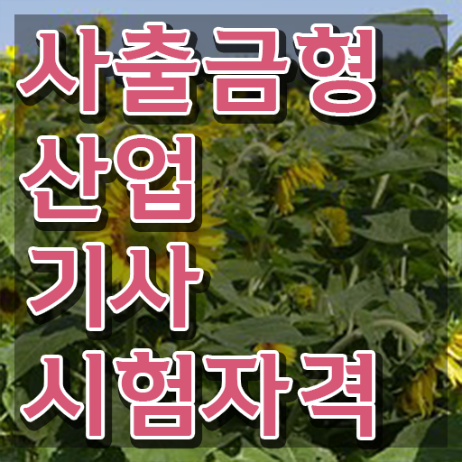  사출금형산업기사 시험응시조건 인강만 듣고 4개월 만에 끝낸 노하우
